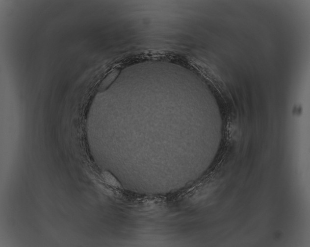 X0000091730865200708241410