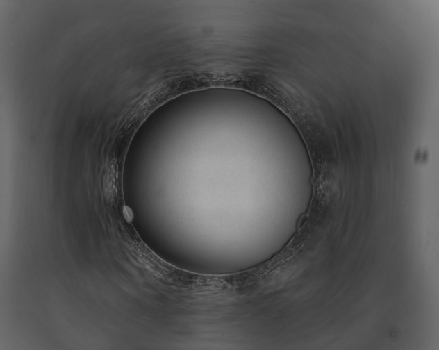 X0000091730866200708241410
