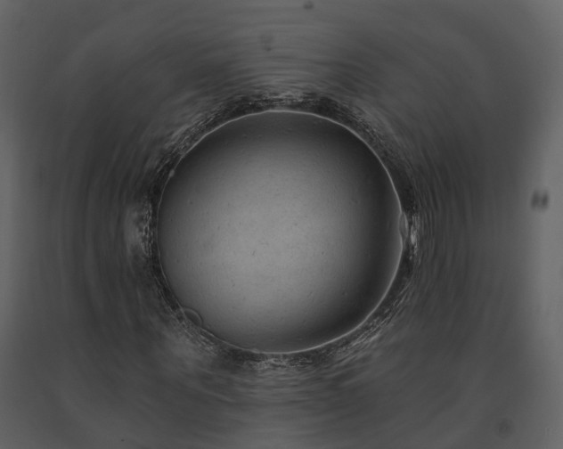 X0000091730867200708241410