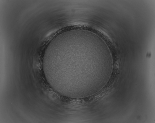 X0000091730869200708241410