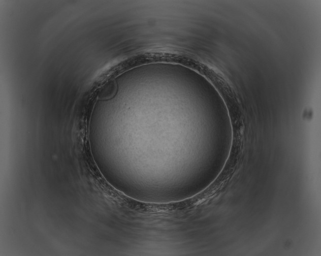 X0000091730870200708241410