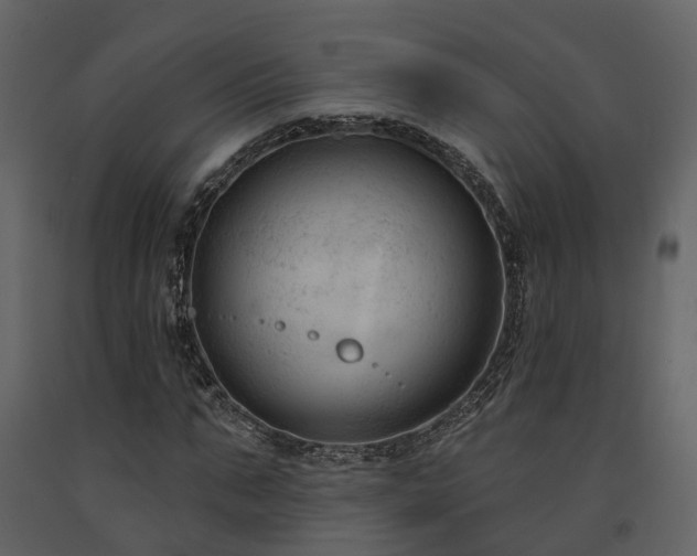 X0000091730871200708241410