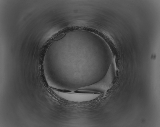 X0000091730872200708241410