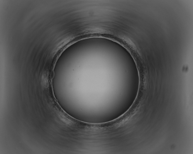 X0000091730873200708241410