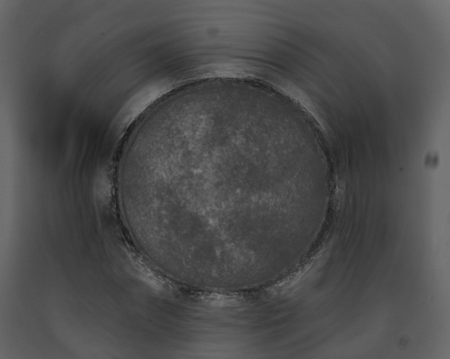 X0000091730874200708241410