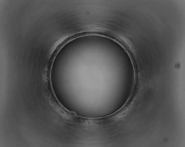 X0000091730875200708241410