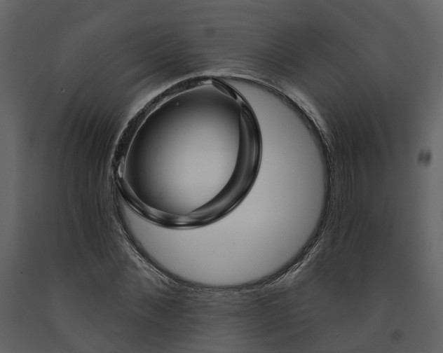 X0000091730876200708241410
