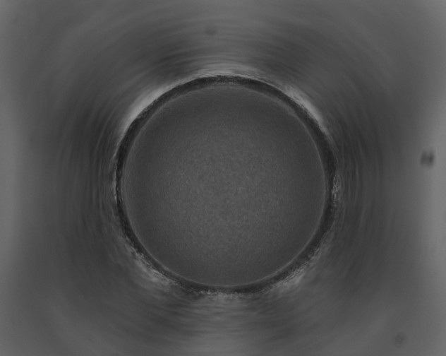 X0000091730877200708241410