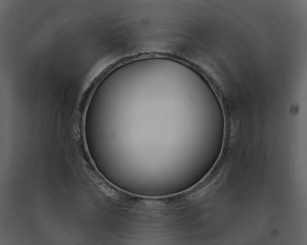 X0000091730878200708241410