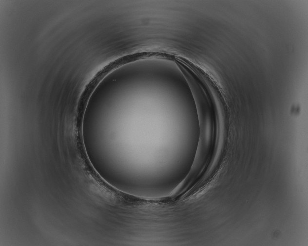 X0000091730880200708241410