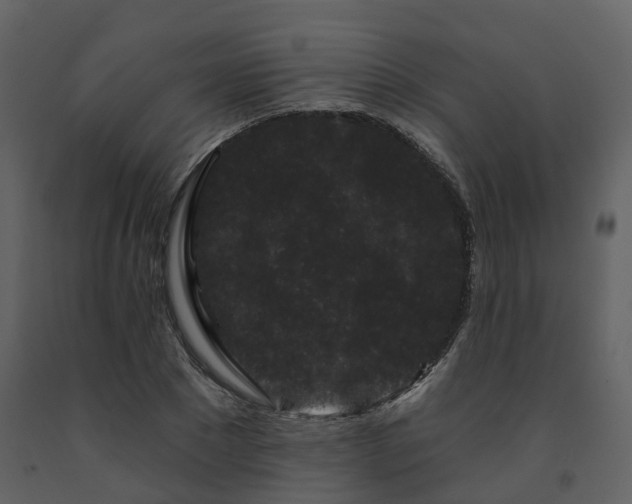 X0000091730881200708241410