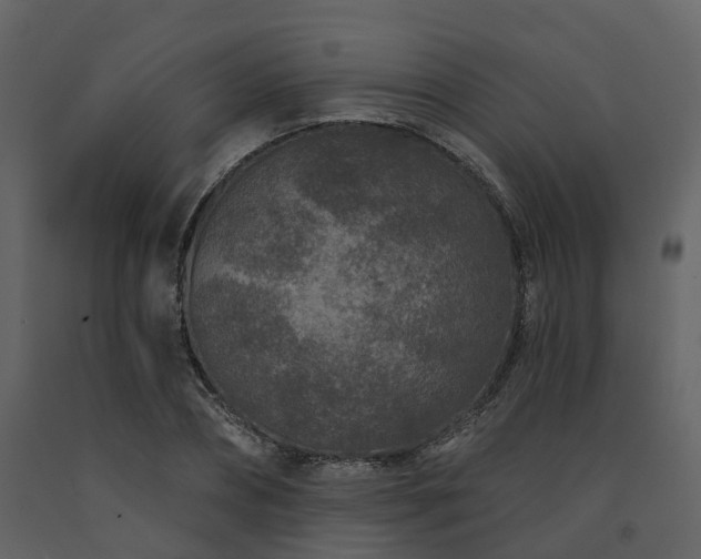 X0000091730882200708241410