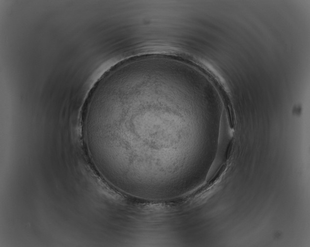 X0000091730883200708241410