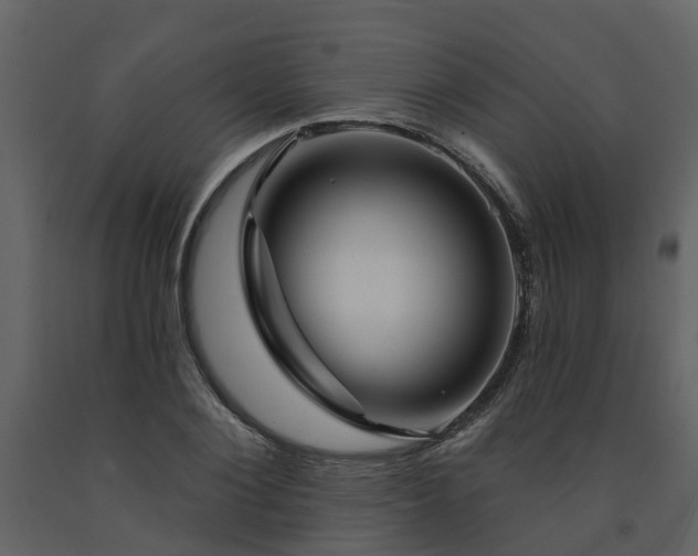 X0000091730884200708241410