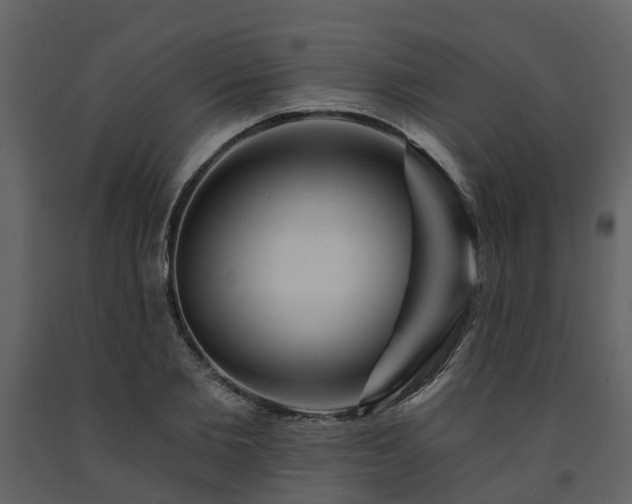 X0000091730885200708241410