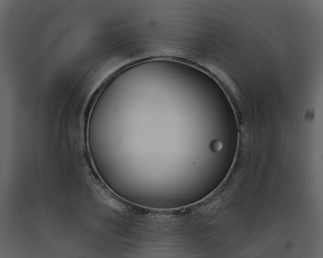X0000091730886200708241410