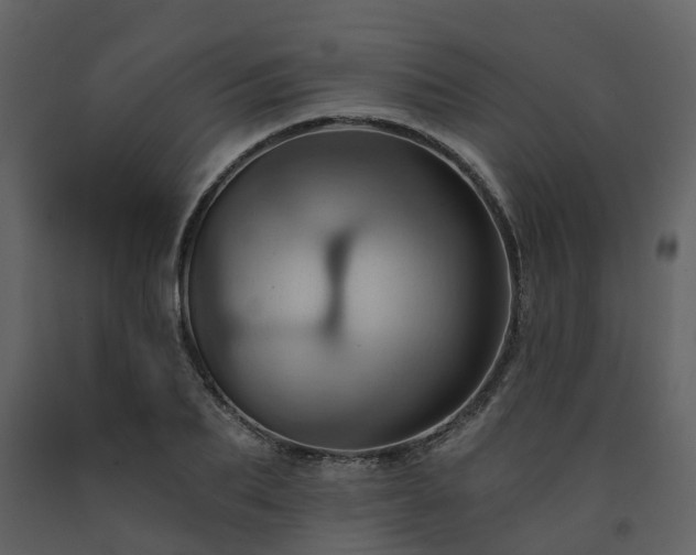 X0000091730887200708241410