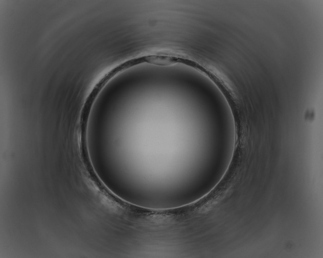 X0000091730888200708241410