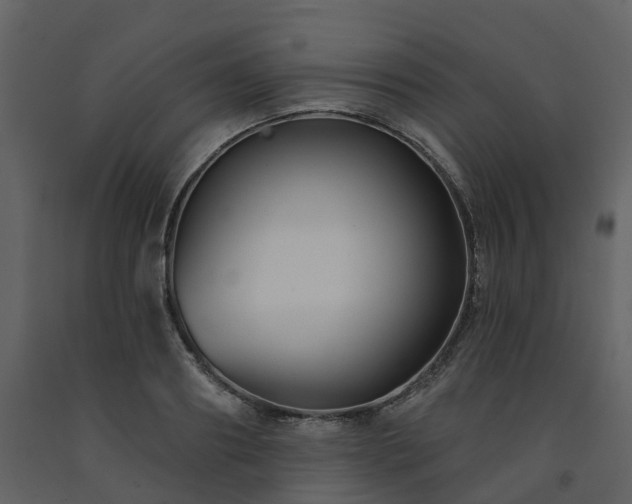 X0000091730890200708241410