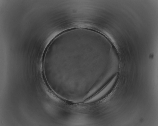 X0000091730891200708241410