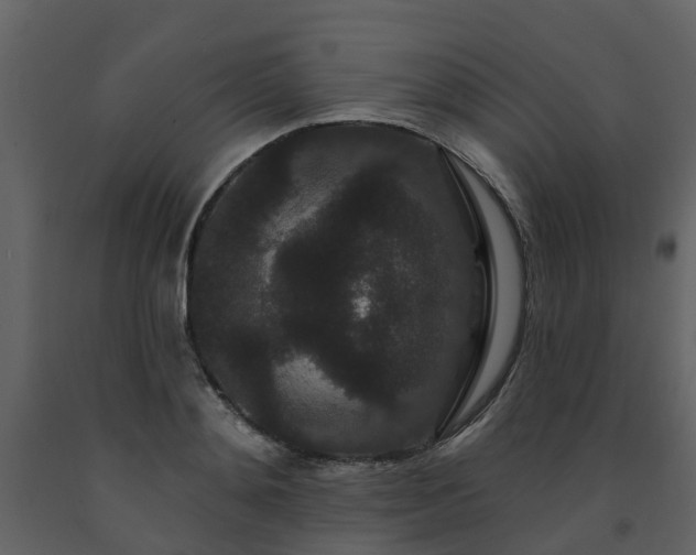 X0000091730892200708241410