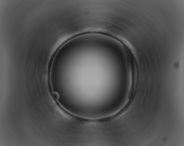 X0000091730894200708241410