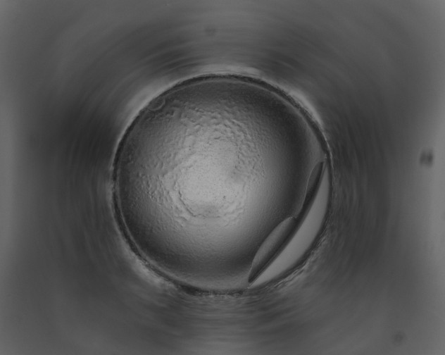 X0000091730895200708241410