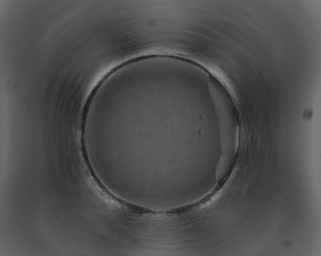 X0000091730896200708241410