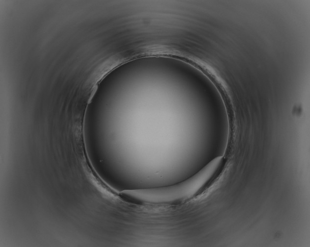 X0000091730897200708241410