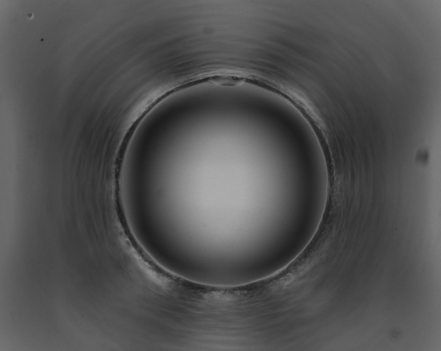 X0000091730898200708241410
