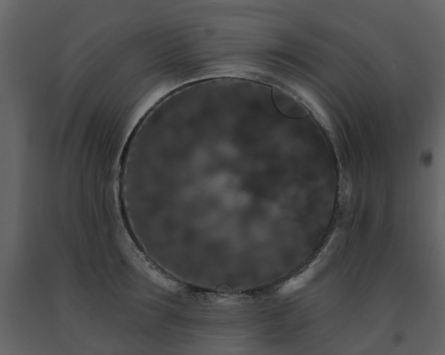 X0000091730899200708241410