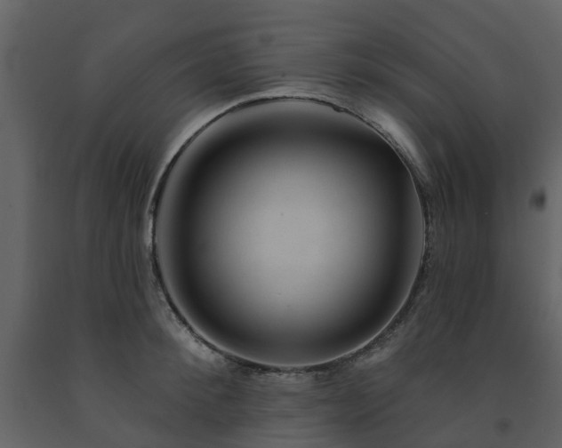 X0000091730900200708241410