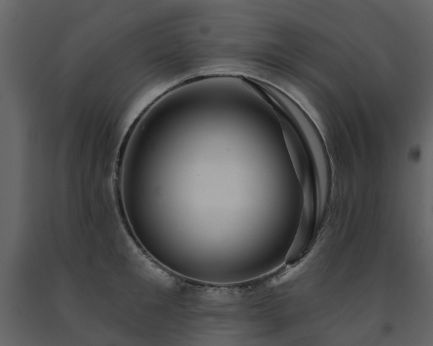 X0000091730901200708241410