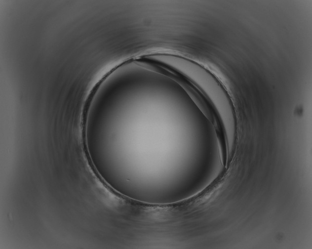X0000091730902200708241410
