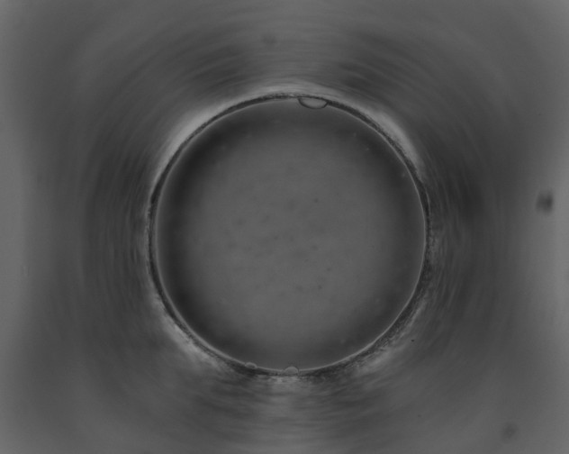 X0000091730903200708241410