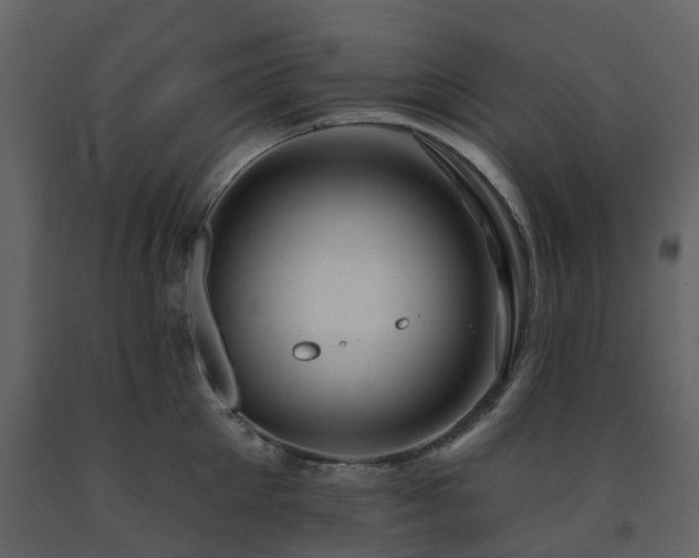 X0000091730905200708241410