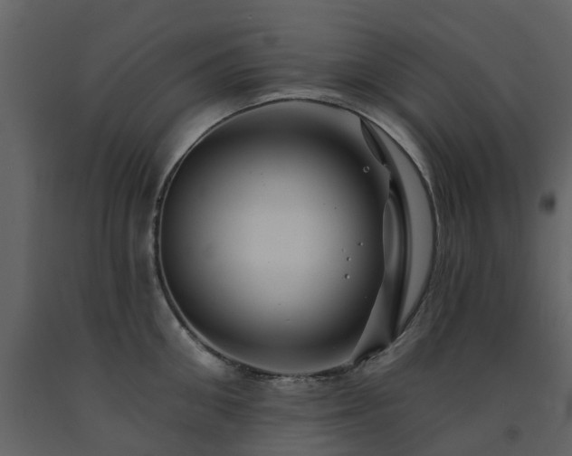 X0000091730906200708241410
