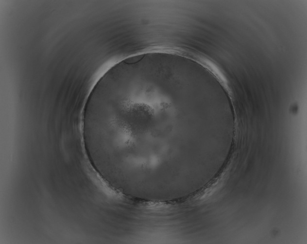 X0000091730907200708241410