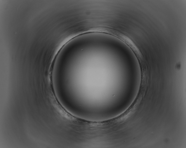 X0000091730908200708241410