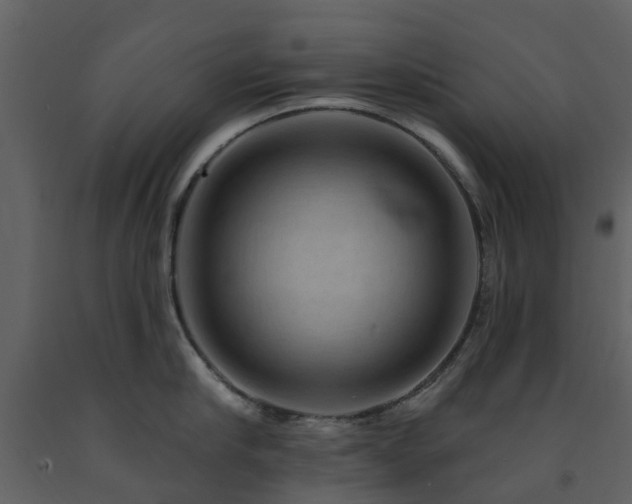 X0000091730910200708241410