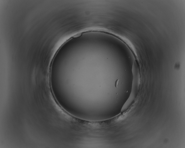 X0000091730911200708241410