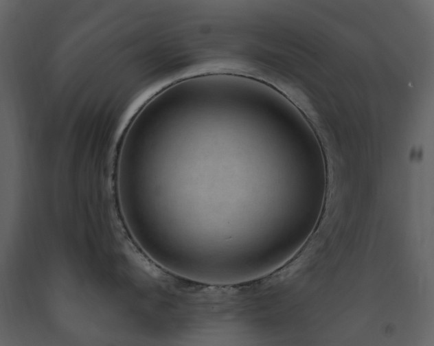 X0000091730912200708241409