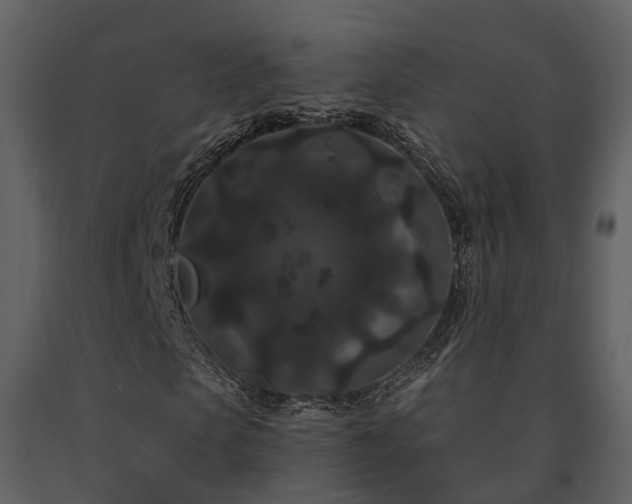 X0000091730913200708241409