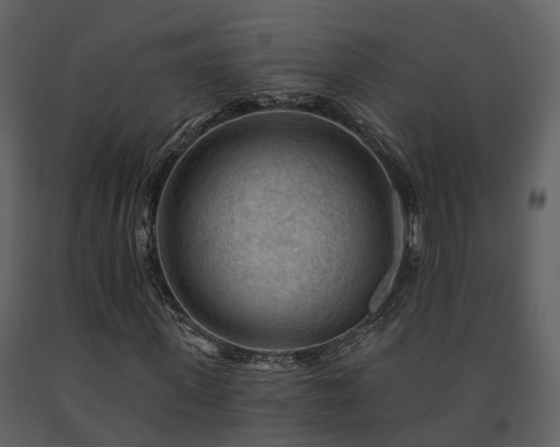 X0000091730915200708241409