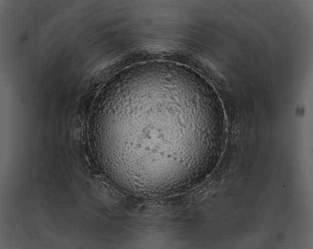 X0000091730917200708241409