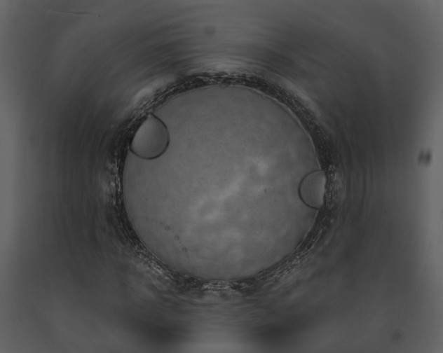 X0000091730918200708241409