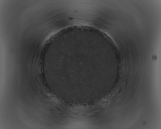 X0000091730919200708241409