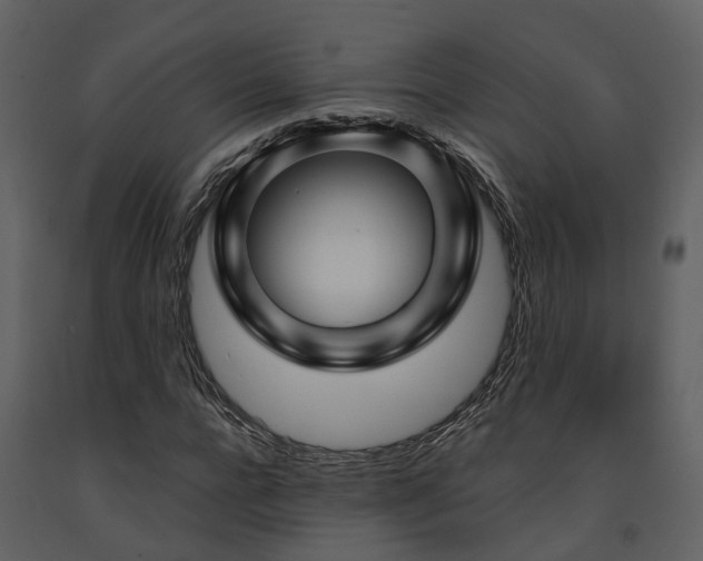 X0000091730920200708241409