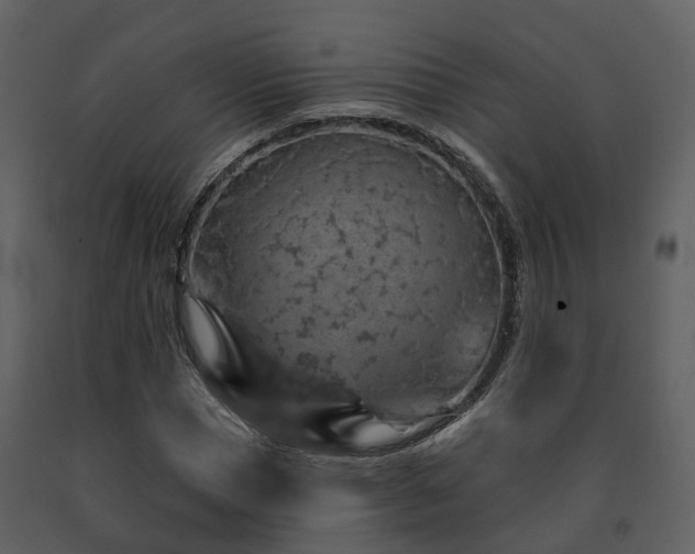 X0000091730921200708241409