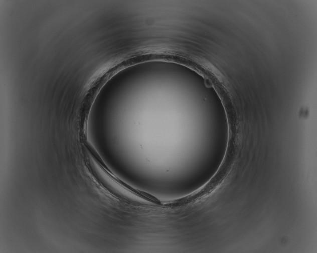 X0000091730922200708241409